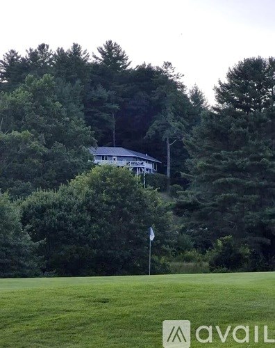 A house is nestled among the trees in a lush green landscape.
