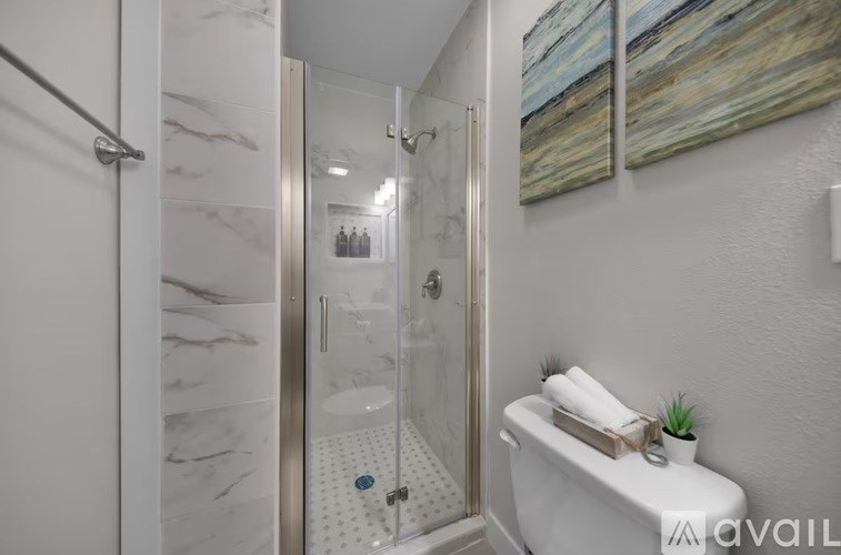 A bathroom with a white toilet and a walk-in shower.