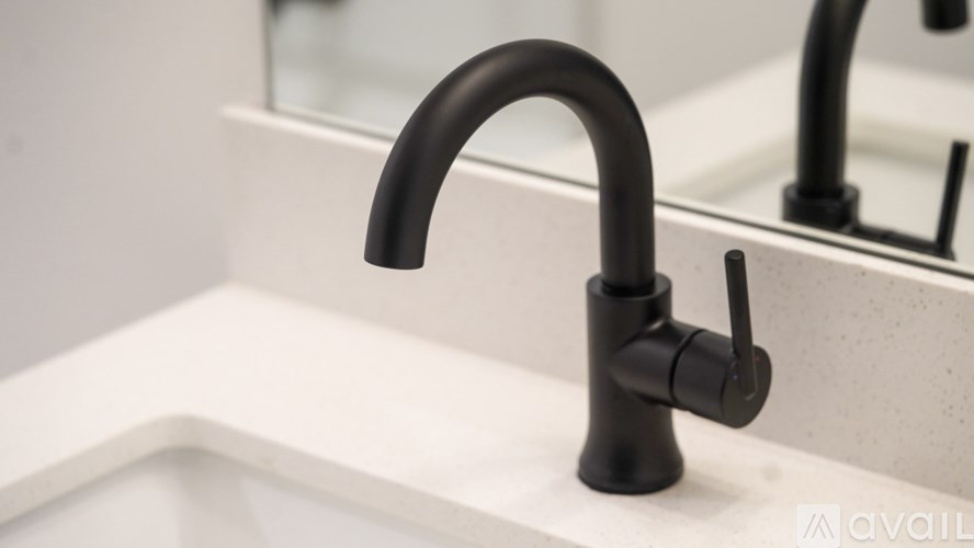 A black kitchen faucet with a single handle is mounted on a white sink.