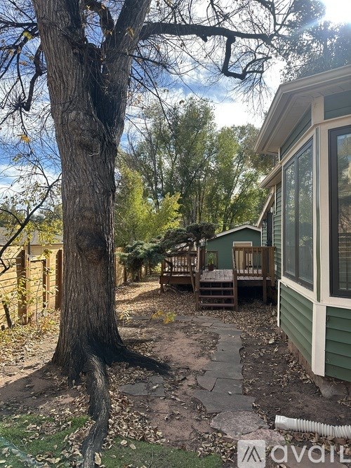 A tree in a yard with a house in the background.