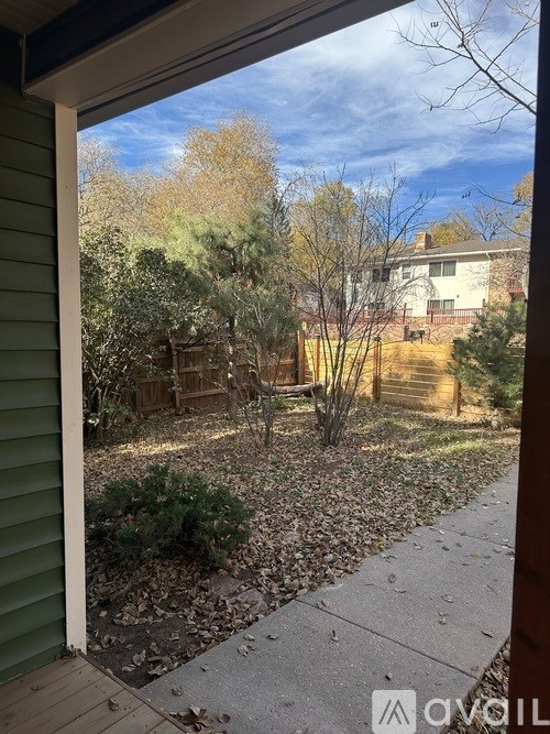 A backyard with a green house and trees.