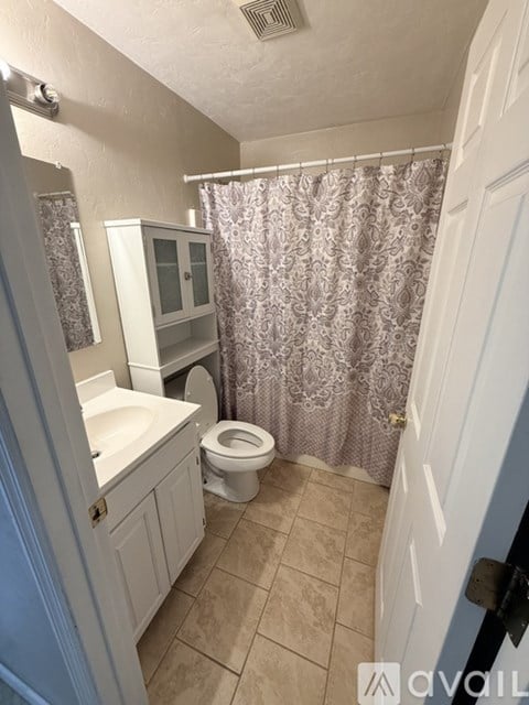 A bathroom with a toilet, sink, and shower curtain.