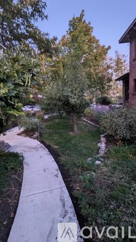 A tree-lined sidewalk in front of a building.