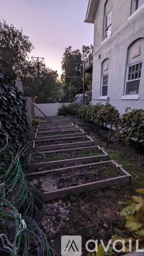 A garden with a wooden staircase leading up to a house.