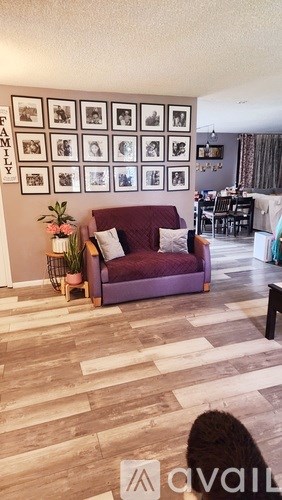 A living room with a purple couch and a wall of family photos.
