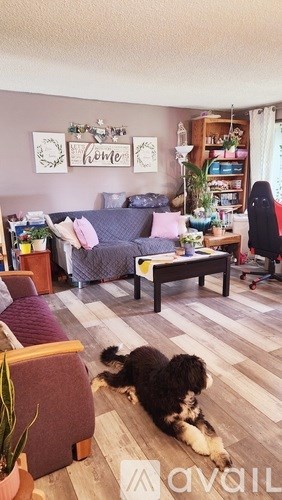 A dog is lying on the floor in a living room.