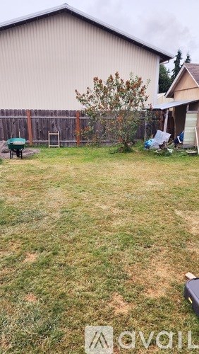 A backyard with a lawn and a tree.