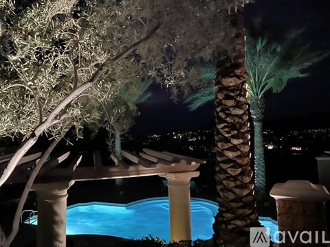 A pool surrounded by trees at night.