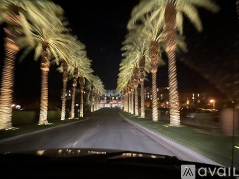 A road lined with palm trees at night.