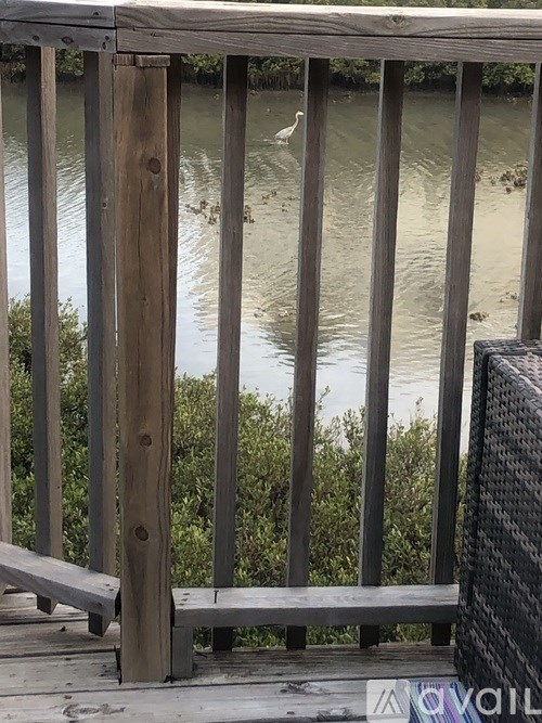 A wooden fence with a bench and a bird on the other side of the fence.