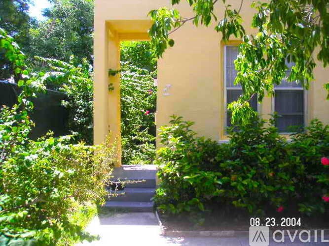 A yellow door is surrounded by green plants.