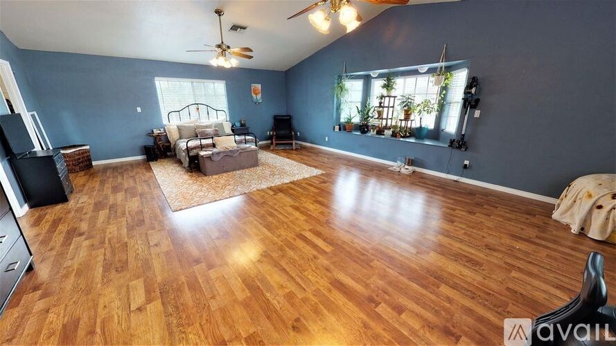 A living room with a couch, a rug, and a ceiling fan.