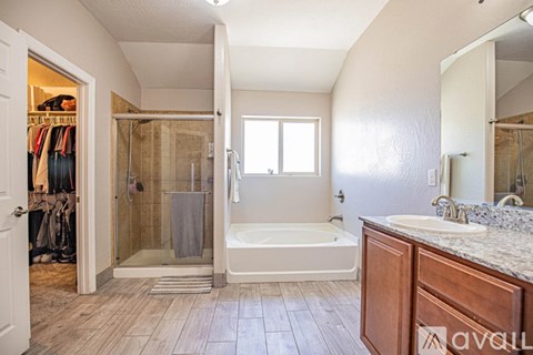 A bathroom with a walk-in shower and a bathtub.