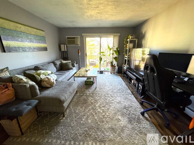 A living room with a grey couch and a patterned carpet.