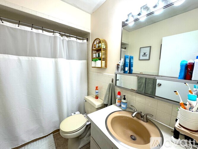 A bathroom with a toilet, sink, and shower curtain.