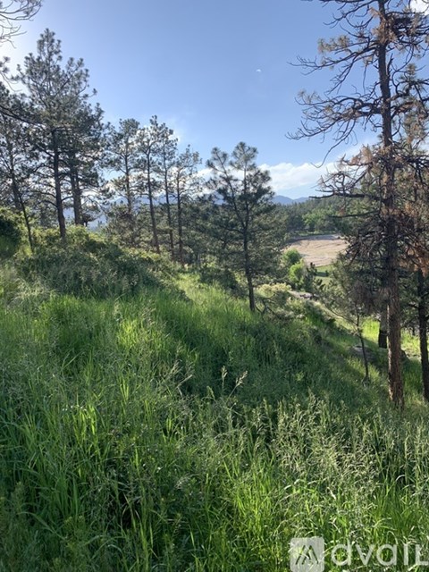 525 West Woodmen Road 4 Beds Single Family Home for Rent - Photo Gallery 31