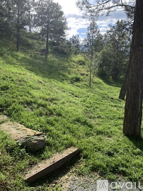 525 West Woodmen Road 4 Beds Single Family Home for Rent - Photo Gallery 32