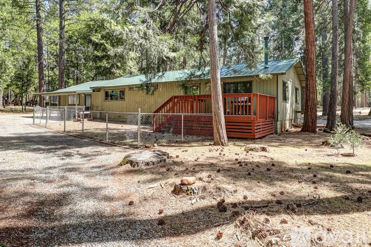 A house with a green roof is surrounded by trees.
