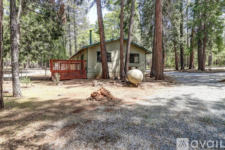 A house with a green roof is surrounded by trees.