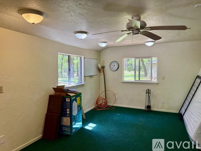A room with a ceiling fan and a green carpet.