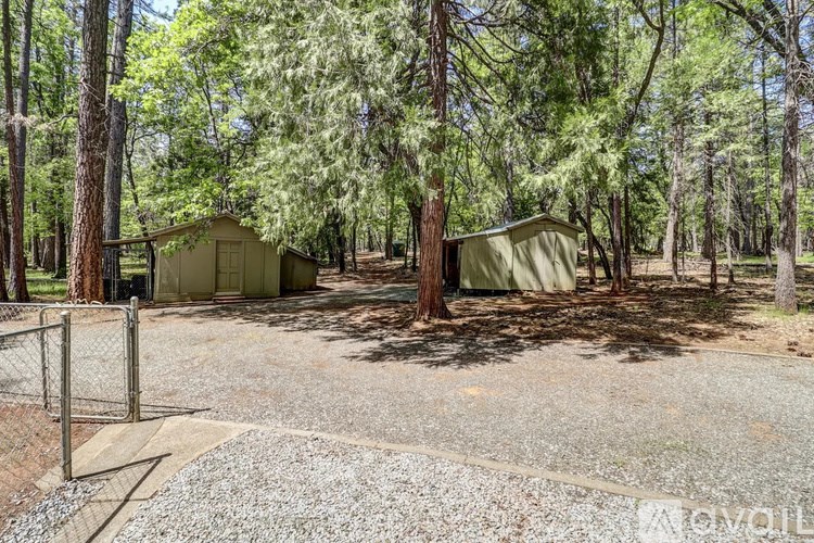 A gravel driveway leads to a small house in a wooded area.