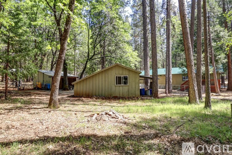 A small cabin sits in a wooded area with a green roof.