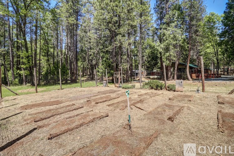 A dirt field with a green pole in the middle surrounded by trees.