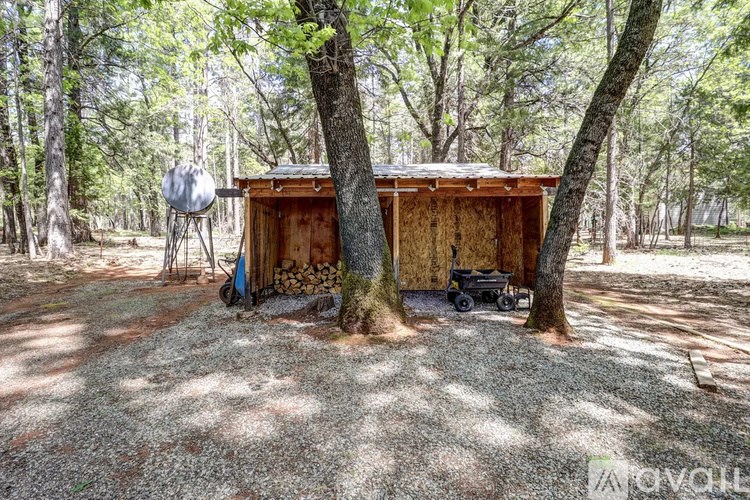 A shed in a wooded area with a tree in front of it.