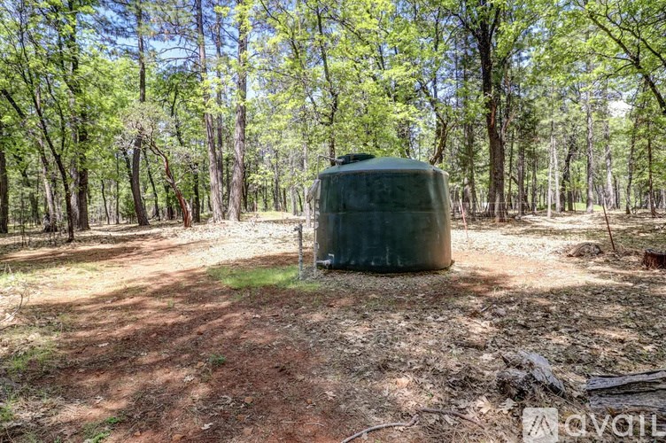 A large green container sits in the middle of a forest.