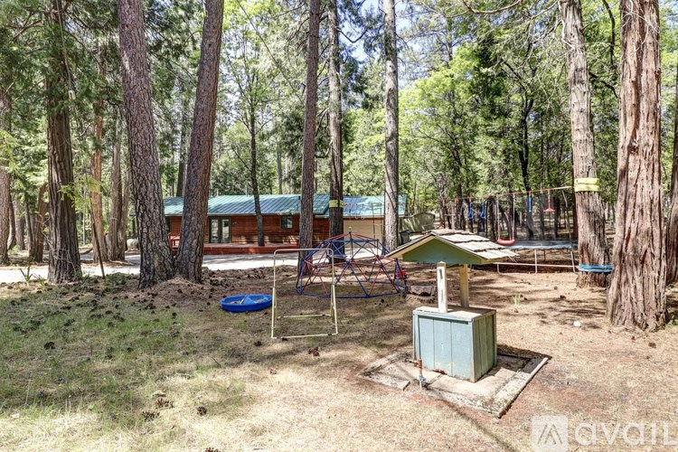 A cabin is surrounded by trees in a wooded area.