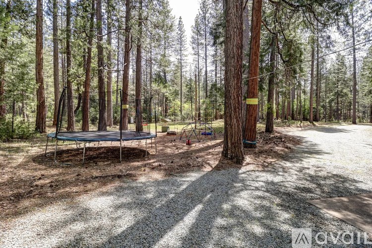 A playground with a trampoline and swing set in a wooded area.