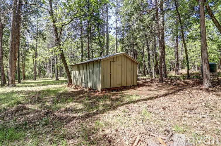 A shed sits in a wooded area with trees surrounding it.