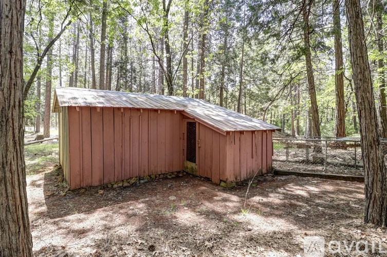 A small red building with a metal roof is surrounded by trees.