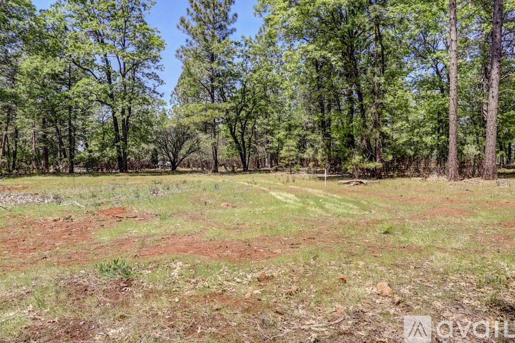 A field with trees in the background.