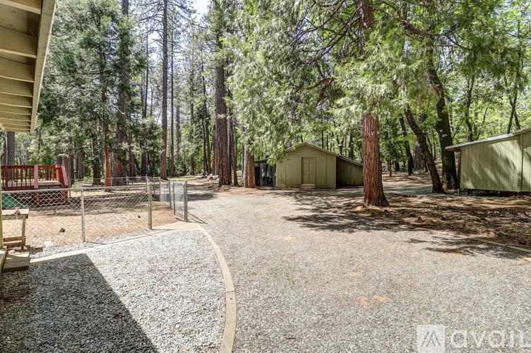 A gravel path leads through a wooded area with cabins on either side.