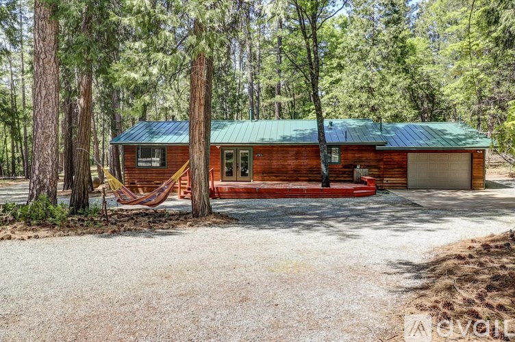 A house with a green roof is surrounded by trees.