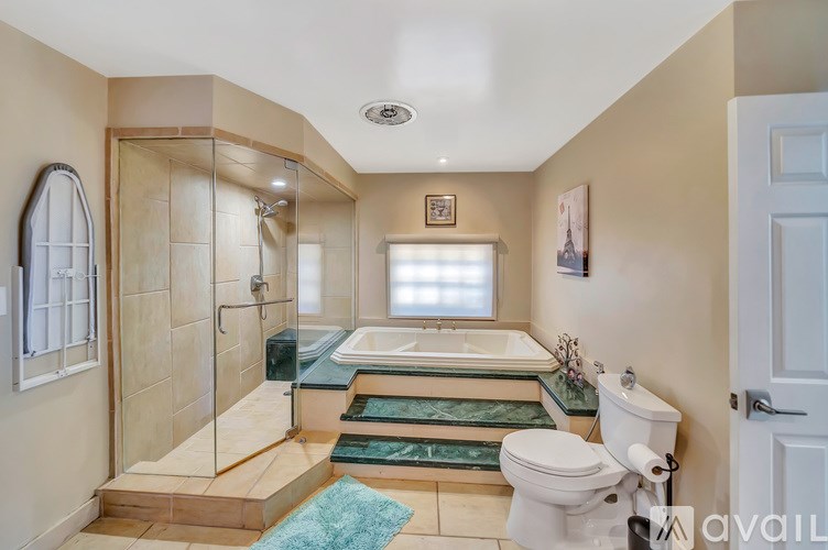 A bathroom with a walk-in shower and a toilet.