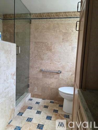 A bathroom with a toilet and a walk-in shower.