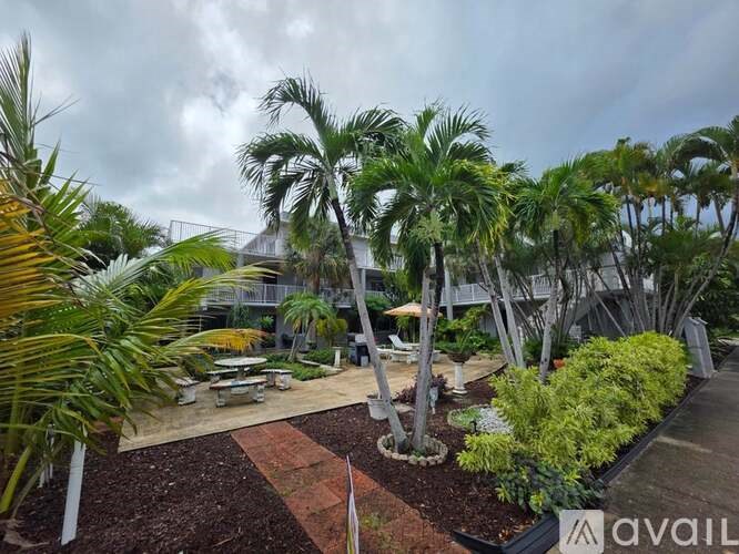 A garden with palm trees and bushes.