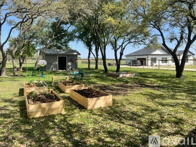 A garden with two raised beds and a shed in the background.
