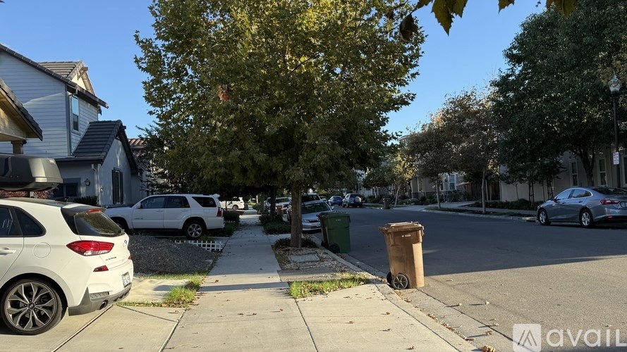 A street view with cars parked on the side and a tree in the middle.