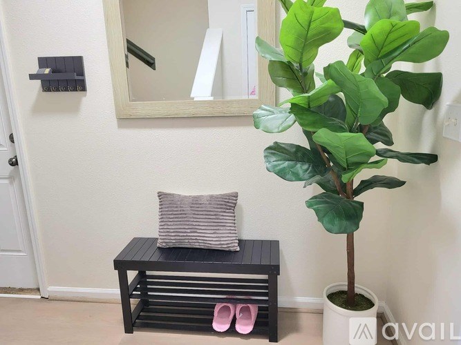 A green leafy plant sits in a white pot next to a black bench with a grey pillow on it.