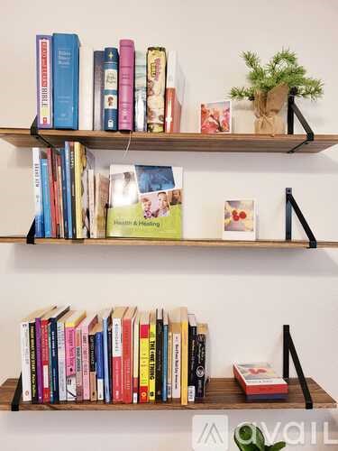 A shelf with books and a small potted plant.