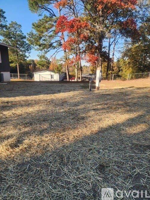 A field with dry grass and a tree with red leaves.