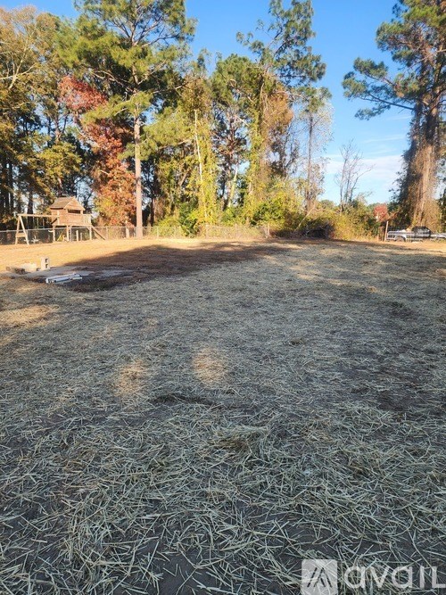A field with a lot of grass and trees in the background.