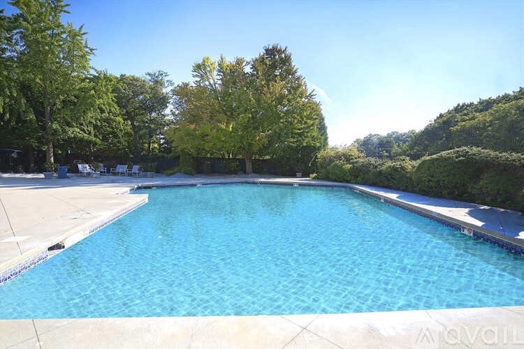 A large swimming pool surrounded by trees and a clear blue sky.