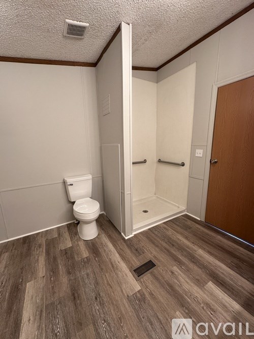 A bathroom with a toilet, a walk-in shower, and a wooden door.