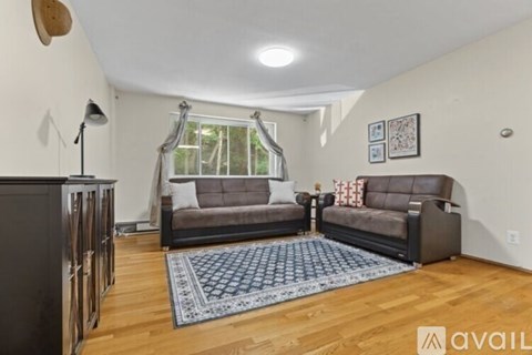 A living room with a grey couch and a blue rug.