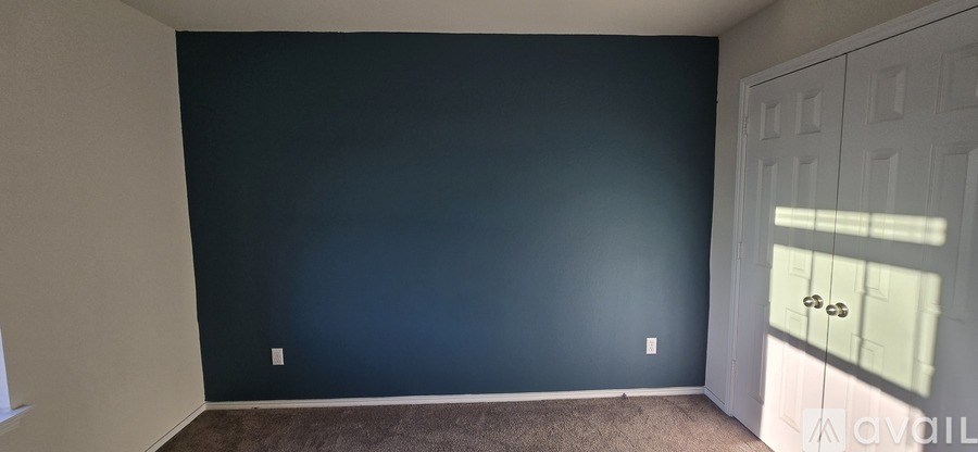 A room with dark blue walls and a white door.