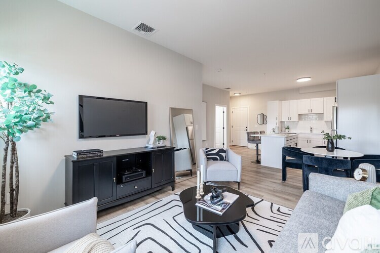 A living room with a black and white striped rug and a grey sofa.